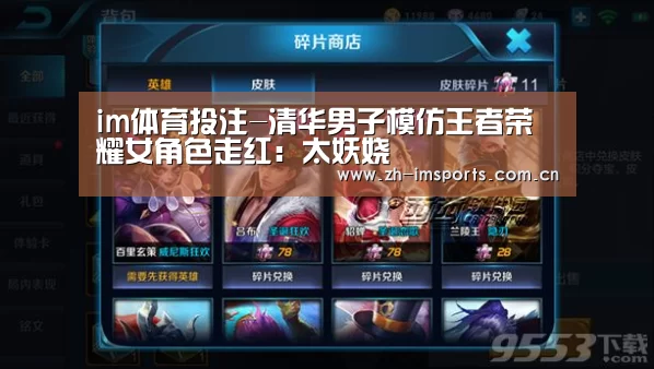 im体育欧洲杯